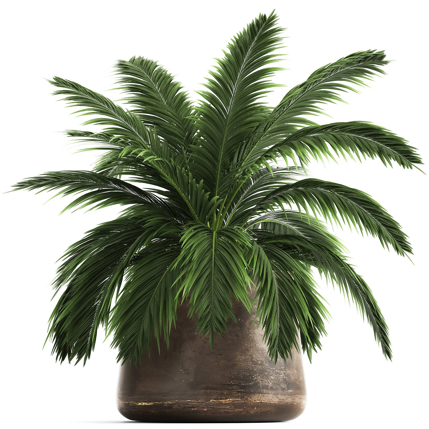 decorative palm in a flowerpot for the interior 921 3D Model .c4d .max .obj .3ds .fbx .stl .blend 