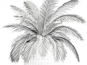 decorative palm in a flowerpot for the interior 921 3D Model