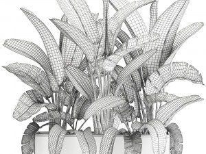 banana palm in a flowerpot for the interior 922 3D-Modell
