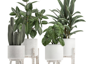 collection of decorative plants in white flowerpots 923 3D Модель