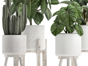 collection of decorative plants in white flowerpots 923 3D Модель