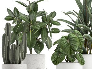 collection of decorative plants in white flowerpots 923 3D Модель