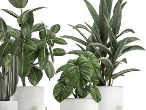 collection of decorative plants in white flowerpots 923 3D Модель