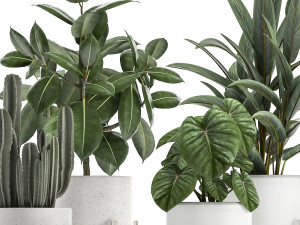 collection of decorative plants in white flowerpots 923 3D Модель