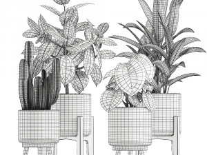 collection of decorative plants in white flowerpots 923 3D Модель