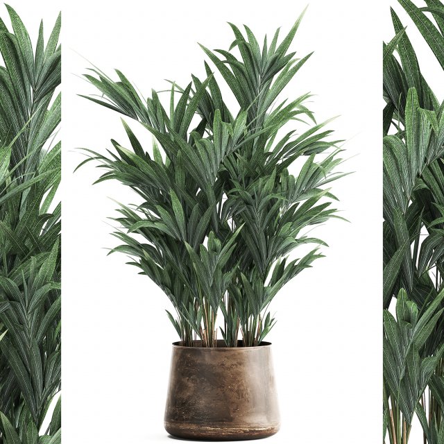 decorative palm in a flowerpot for the interior 924 Modelo 3D .c4d .max .obj .3ds .fbx .stl .blend 