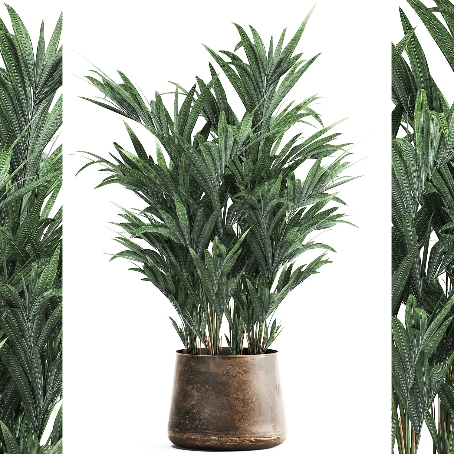 decorative palm in a flowerpot for the interior 924 3D Model .c4d .max .obj .3ds .fbx .stl .blend 