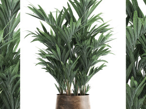 decorative palm in a flowerpot for the interior 924 3D Model