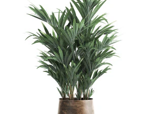 decorative palm in a flowerpot for the interior 924 3D Model