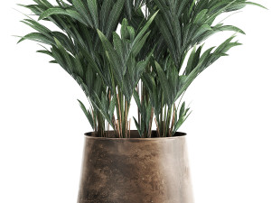 decorative palm in a flowerpot for the interior 924 Modelo 3D