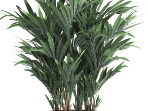 decorative palm in a flowerpot for the interior 924 Modelo 3D