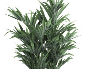decorative palm in a flowerpot for the interior 924 Modelo 3D