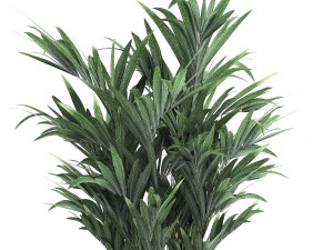 decorative palm in a flowerpot for the interior 924 3D Model