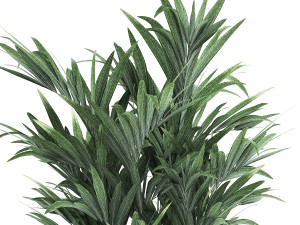 decorative palm in a flowerpot for the interior 924 Modelo 3D