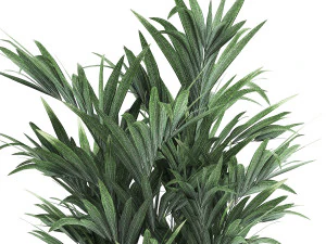 decorative palm in a flowerpot for the interior 924 3D Model