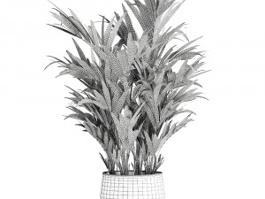 decorative palm in a flowerpot for the interior 924 Modelo 3D
