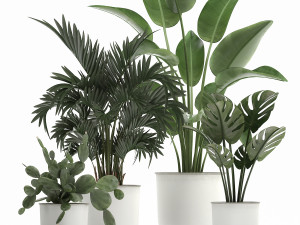 collection of decorative plants in white flowerpots 927 Modelo 3D