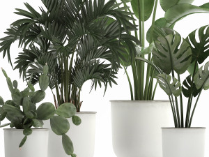 collection of decorative plants in white flowerpots 927 Modèle 3D