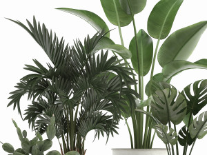 collection of decorative plants in white flowerpots 927 Modèle 3D