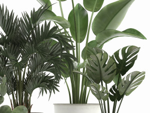 collection of decorative plants in white flowerpots 927 Modèle 3D