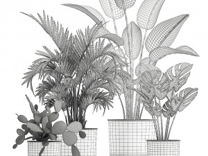collection of decorative plants in white flowerpots 927 Modèle 3D