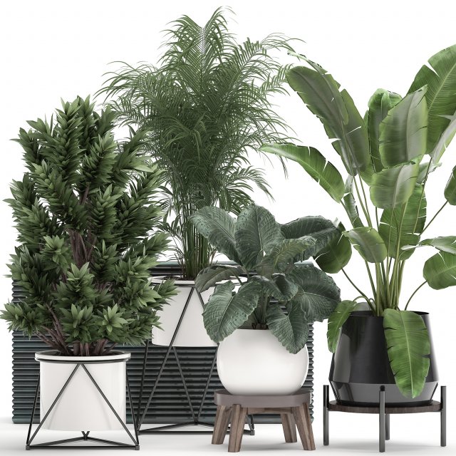 houseplants in a flowerpot for the interior 928 Modelo 3D .c4d .max .obj .3ds .fbx .stl .blend 