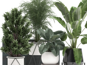 houseplants in a flowerpot for the interior 928 3D Model