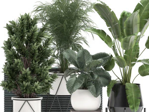 комнатные растения в вазоне для интерьера 928 3D Модель