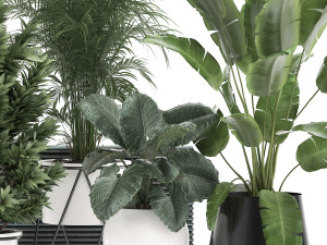 houseplants in a flowerpot for the interior 928 Modelo 3D