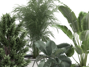 houseplants in a flowerpot for the interior 928 Modelo 3D
