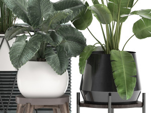 houseplants in a flowerpot for the interior 928 Modelo 3D