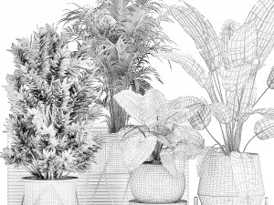 houseplants in a flowerpot for the interior 928 Modelo 3D