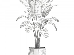 banana palm in a rust pot for the interior 929 Modelo 3D