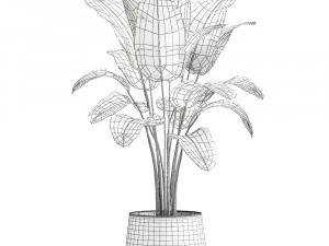 banana palm in a rust pot for the interior 929 3D Model