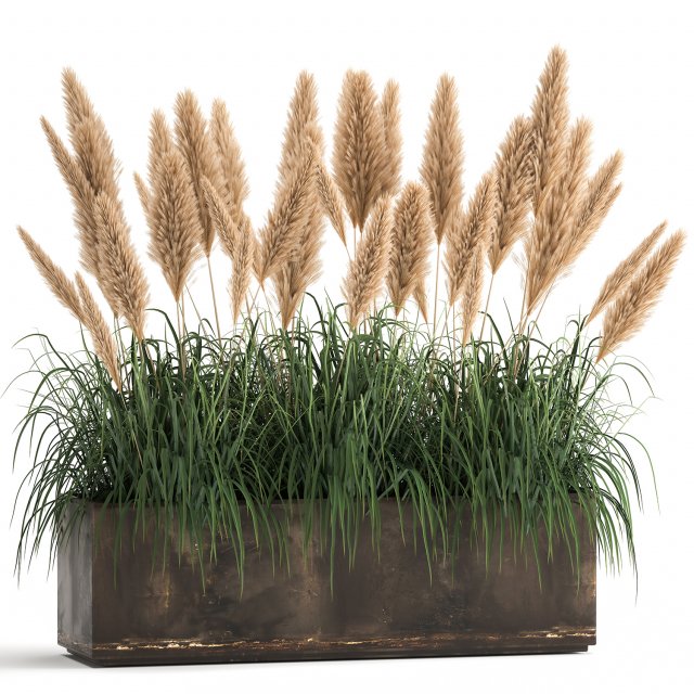 reeds in a rusty flower pot for the interior 932 Model 3D .c4d .max .obj .3ds .fbx .stl .blend 