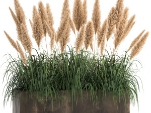 reeds in a rusty flower pot for the interior 932 3D Model