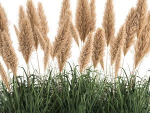 reeds in a rusty flower pot for the interior 932 Model 3D