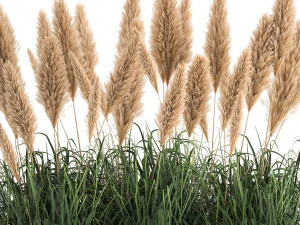 reeds in a rusty flower pot for the interior 932 3D Model