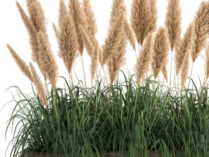 reeds in a rusty flower pot for the interior 932 3D Model