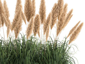 reeds in a rusty flower pot for the interior 932 3D Model