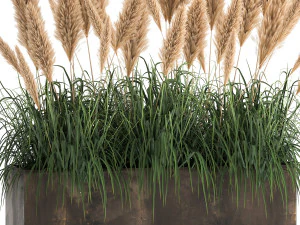 reeds in a rusty flower pot for the interior 932 3D Model