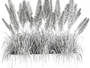 reeds in a rusty flower pot for the interior 932 Model 3D