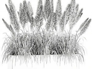 reeds in a rusty flower pot for the interior 932 3D Model