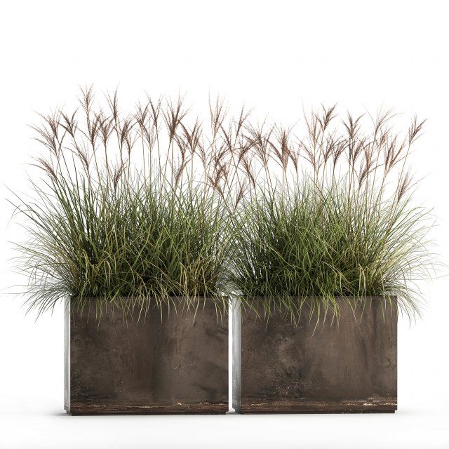 reeds in a rusty flower pot for the interior 933 3D 모델 .c4d .max .obj .3ds .fbx .stl .blend 