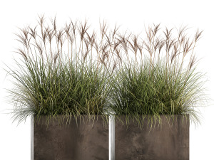 reeds in a rusty flower pot for the interior 933 3D Model
