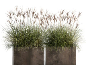 canne in un vaso da fiori arrugginito per l'interno 933 Modello 3D