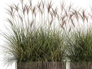 reeds in a rusty flower pot for the interior 933 3D 모델