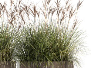 reeds in a rusty flower pot for the interior 933 3D 모델