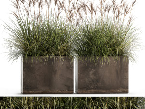 reeds in a rusty flower pot for the interior 933 3D 모델
