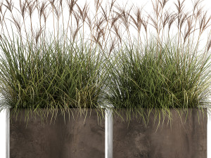 reeds in a rusty flower pot for the interior 933 3D 모델